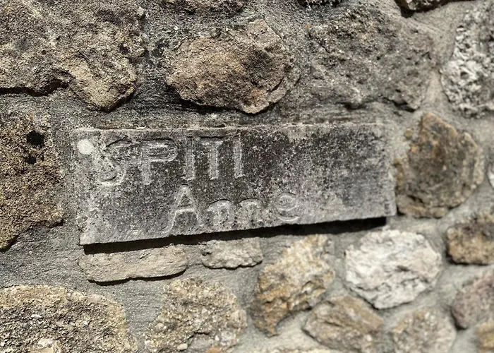 Spiti Anne